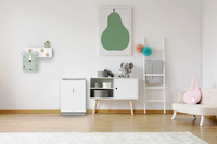 Oczyszczacz powietrza Viessmann typ Vitopure 250 - 5